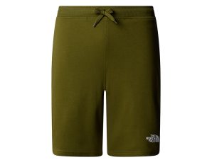 THE NORTH FACE M GRAPHIC SHORT LIGHT NF0A3S4FPIB-PIB ΛΑΔΙ