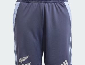 adidas All Blacks Rugby Aeroready Shorts (9000201470_65906)
