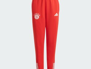 adidas Fc Bayern Tiro 23 Training Pants Kids (9000183178_77029)
