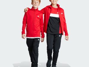 adidas sportswear Essentials Big Logo Track Suit (9000196983_65894)