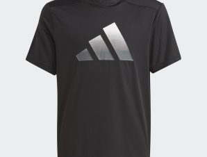 adidas Train Icons AEROREADY Logo Tee (9000150641_69512)